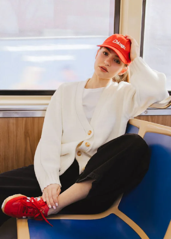 Celebrity Style Chicago. Dad Hat - Astros Brick